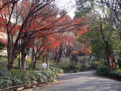 去日本工作需要有準備哪些材料？