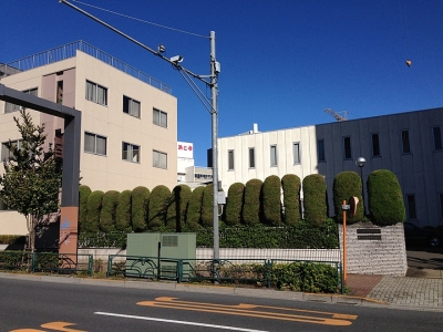 日本簽證拒簽理由：哪些情況會被拒簽？